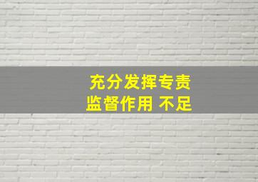 充分发挥专责监督作用 不足